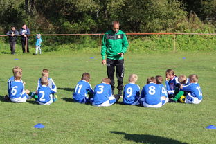 ac米兰官网首页-中国篮球教练员战术创新能力培养及培训机制研究，全国篮球教练员岗位培训